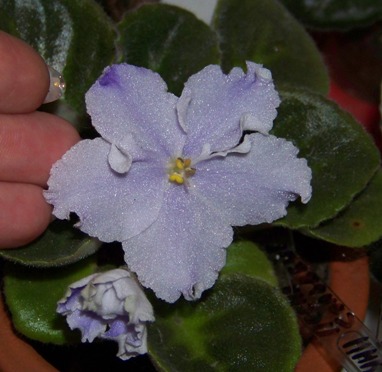 100_1837.JPG