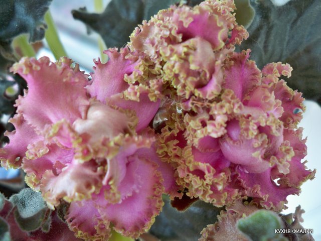 100_9405.JPG