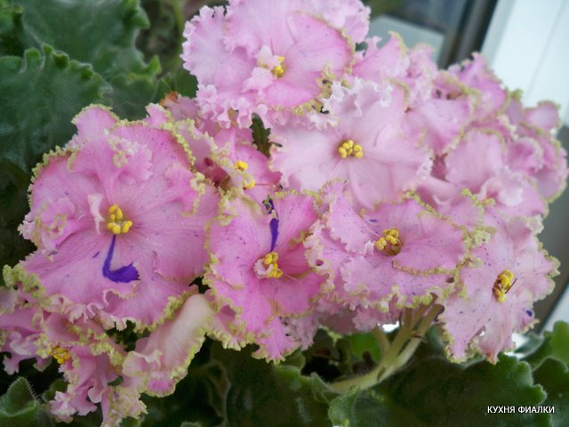 100_9464.JPG