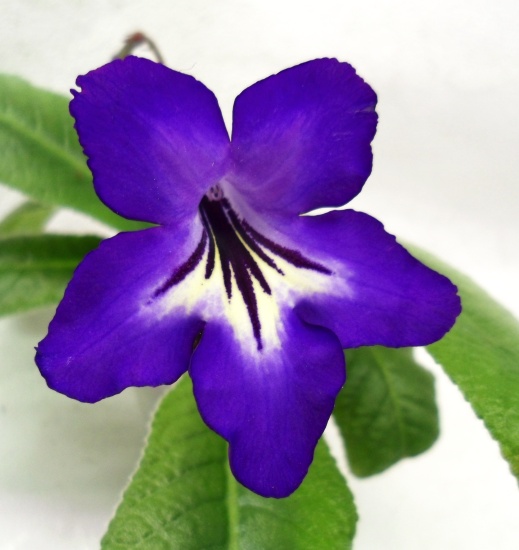 104.jpg