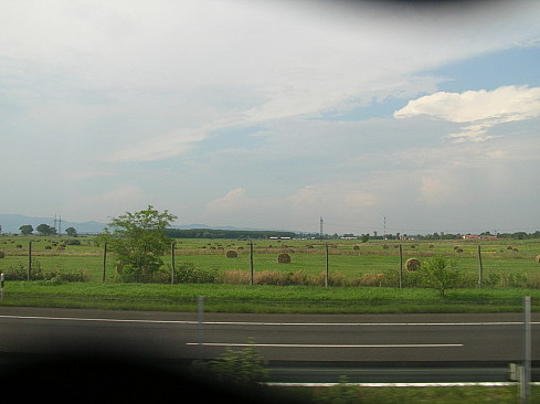120134165.jpg