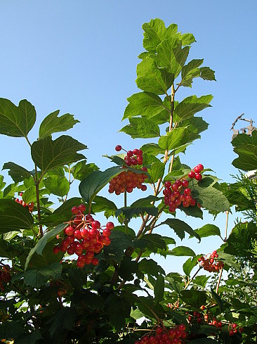 120139181.jpg
