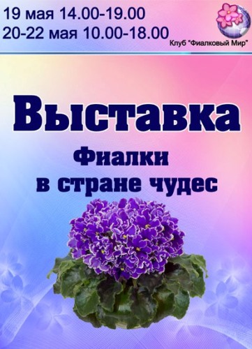 Фиалка Страна Чудес Фото Фиалка Страна Чудес Фото