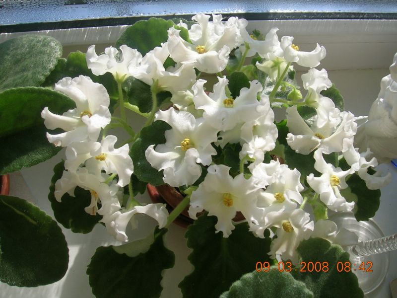 2007 006.jpg