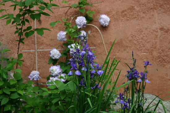 2007 166_измен.размер.jpg