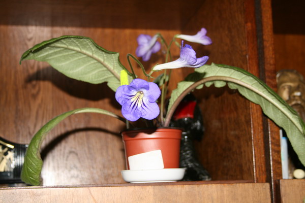 20080906_1381_1.jpg