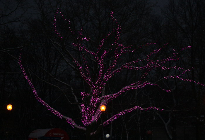 20081228_2068-1.jpg