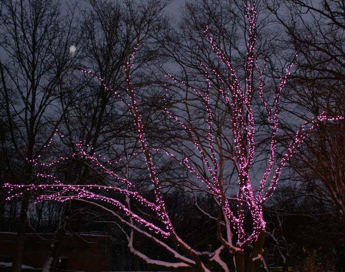 20081228_2095-3.jpg