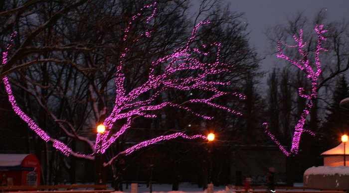 20081228_2097-1.jpg