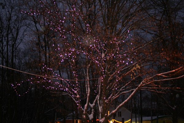 20081228_2104-1.jpg