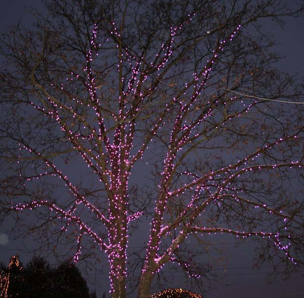 20081228_2107-3.jpg