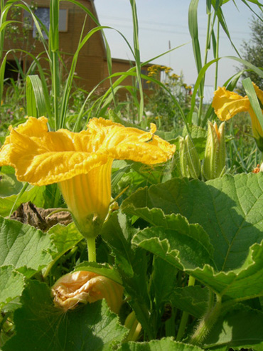 2008 079-500.jpg