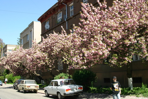 2009 282_новый размер.jpg