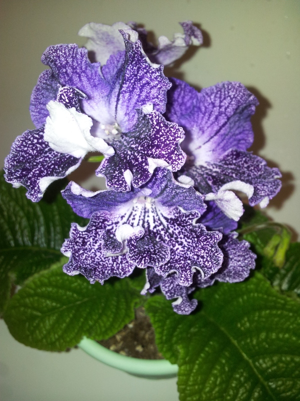 20130417_163343.jpg