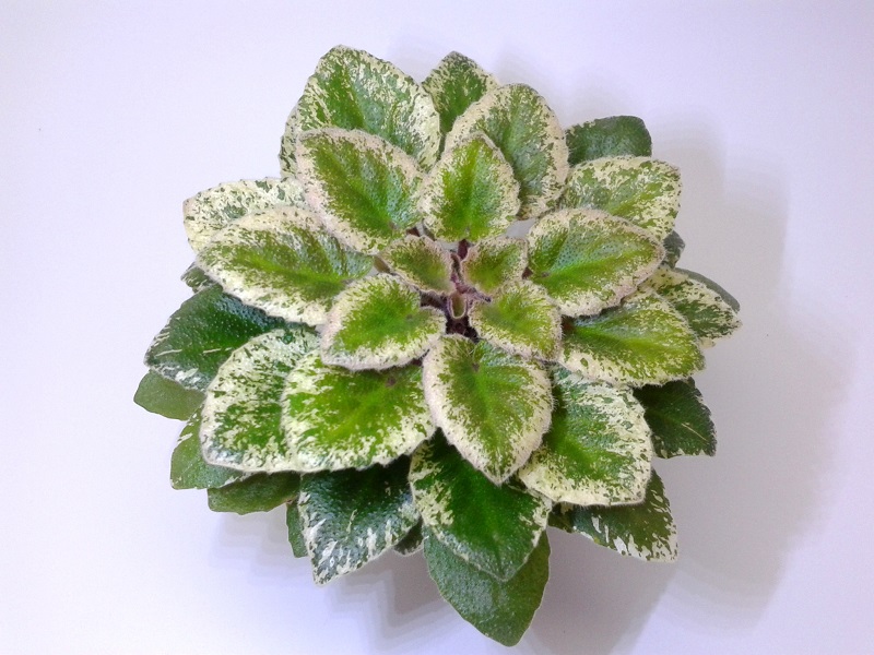 20140225_135249.jpg