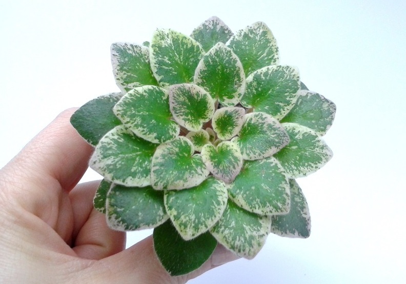 20140225_135709.jpg