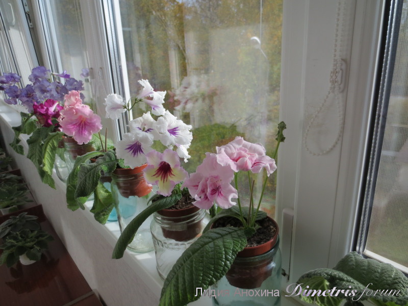 2014-10-01 07-04-07.JPG