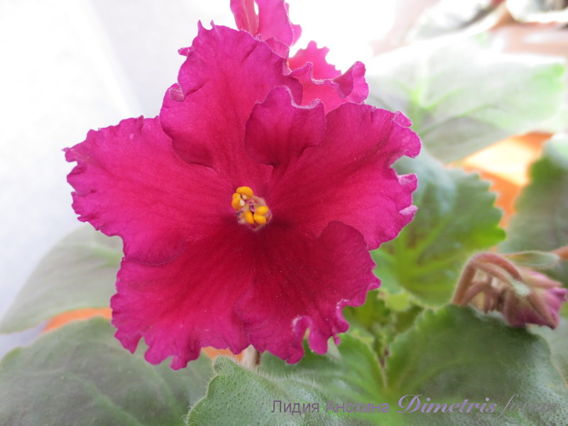 2014-10-01 08-37-05.JPG