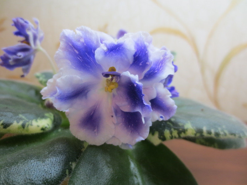 2014-11-24 18-20-33.JPG