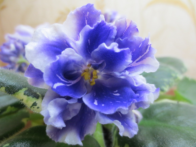 2014-11-24 18-20-59.JPG