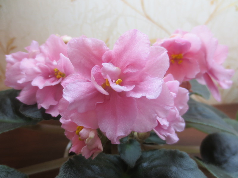 2014-11-24 18-23-49.JPG