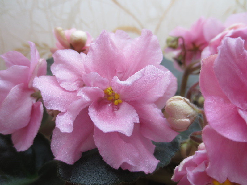 2014-11-24 18-24-01.JPG