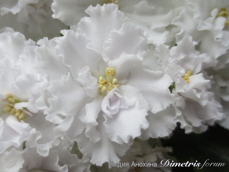 2015-05-31 10-50-55.JPG