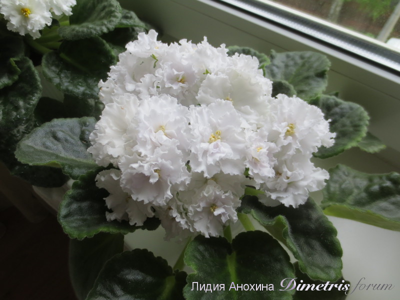 2015-05-31 10-54-47.JPG