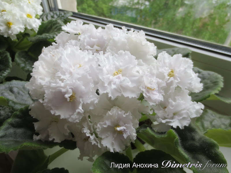 2015-05-31 10-54-57.JPG