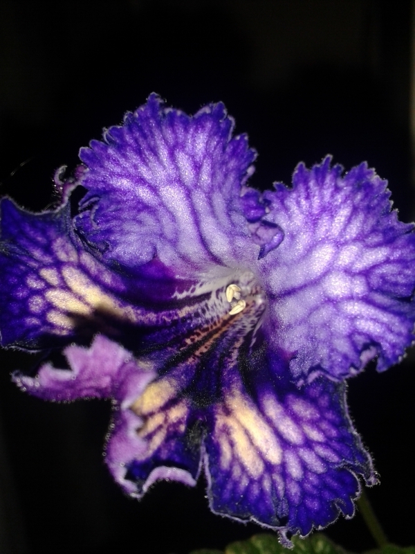 20160527_161249.jpg