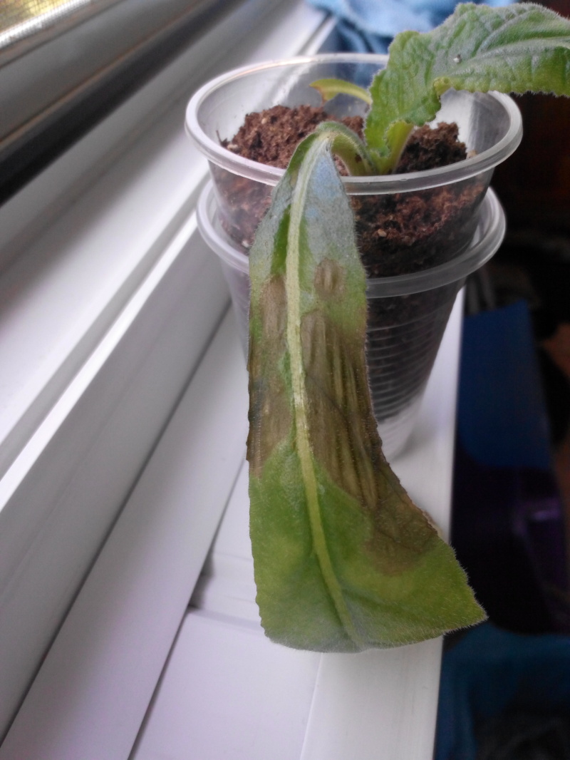 2016927113019.jpg