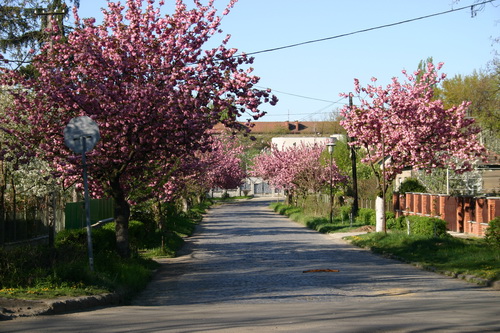 218_новый размер.jpg