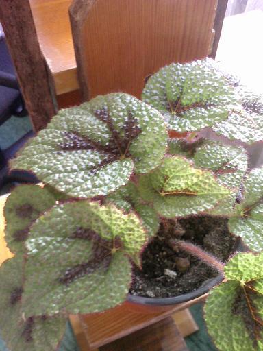 22072010_002.jpg