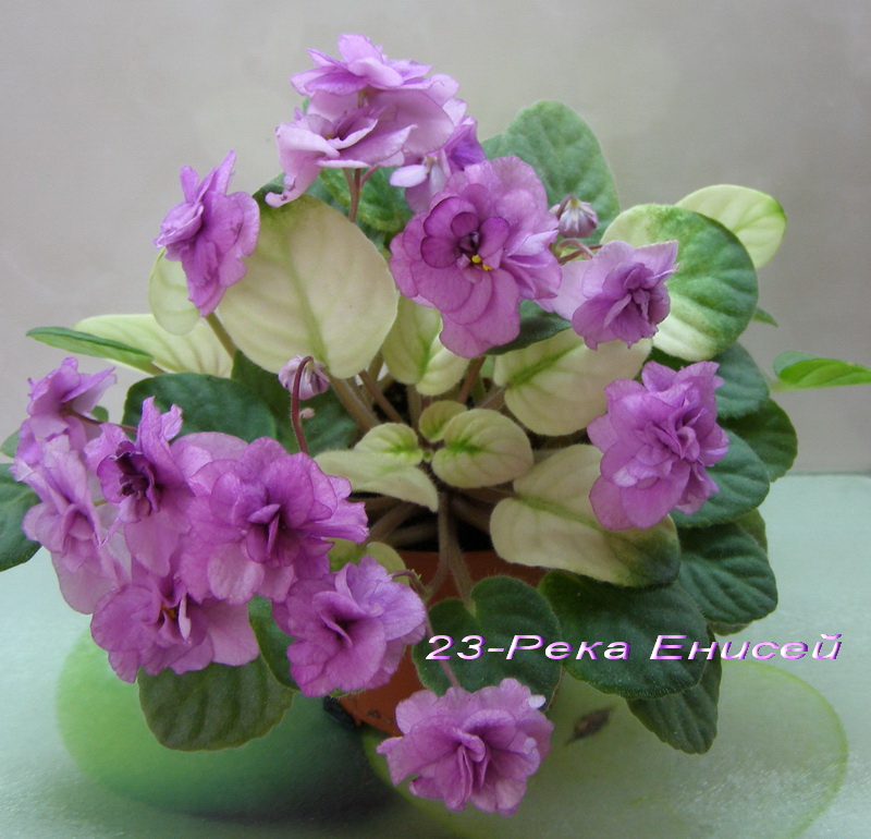 23-Река Енисей.jpg