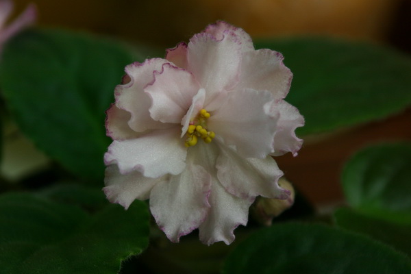 27 июня 084_измен.размер.jpg