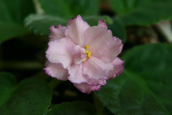 27 июня 086_измен.размер.jpg