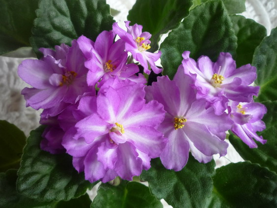 2Маунтин Блаш спорт 09.JPG