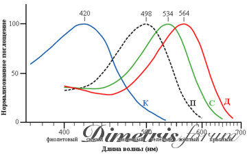 360px-Cone-response-RU.png