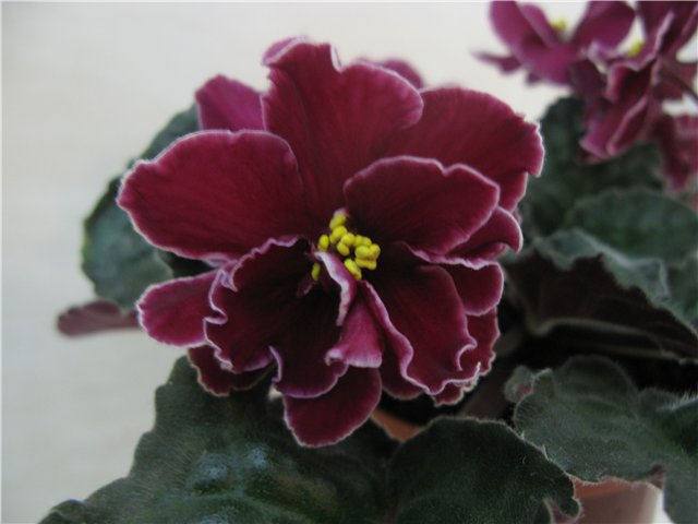 7b82904214d2.jpg