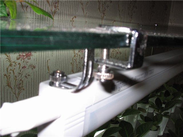866bee246038.jpg