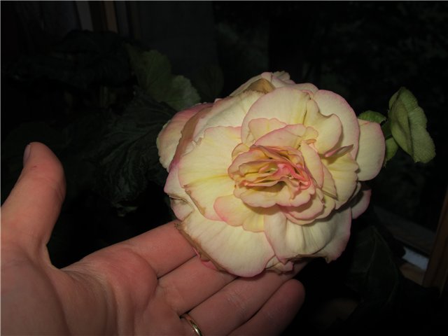 9f177e53ce85.jpg