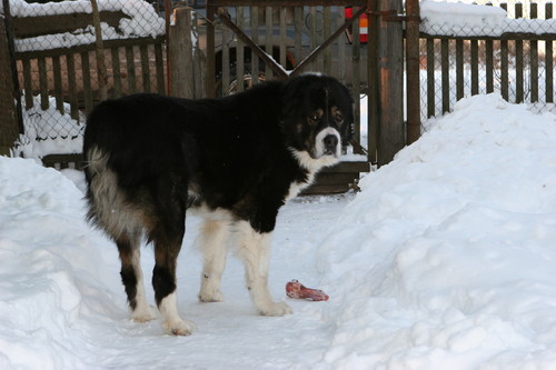 разное 030.jpg