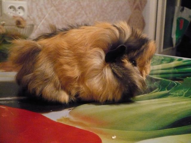 _035_117.jpg