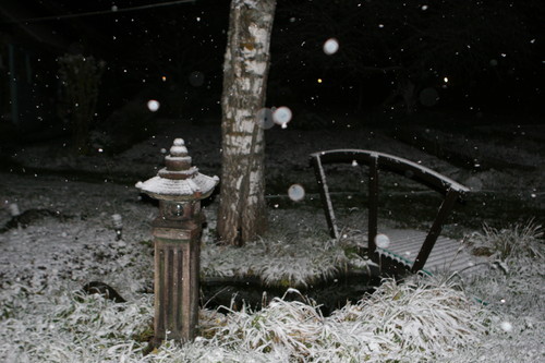 разное 036.jpg