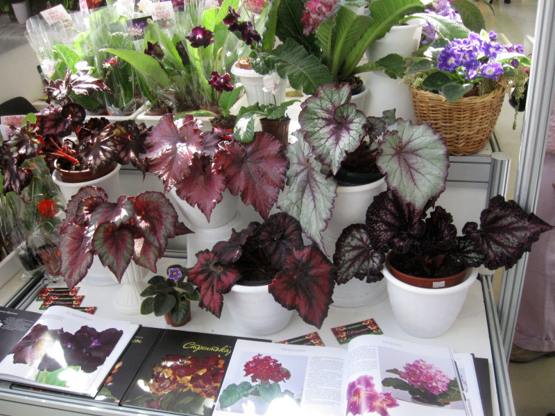 Изображение 039-.jpg