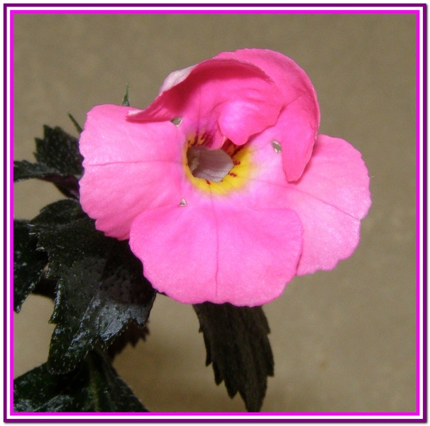 Изображение 0491.jpg