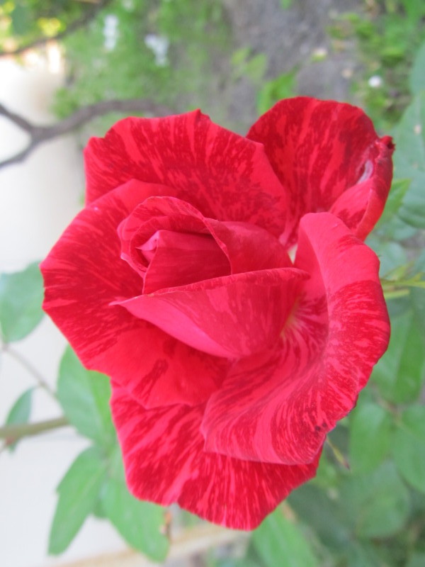 Изображение 056.jpg