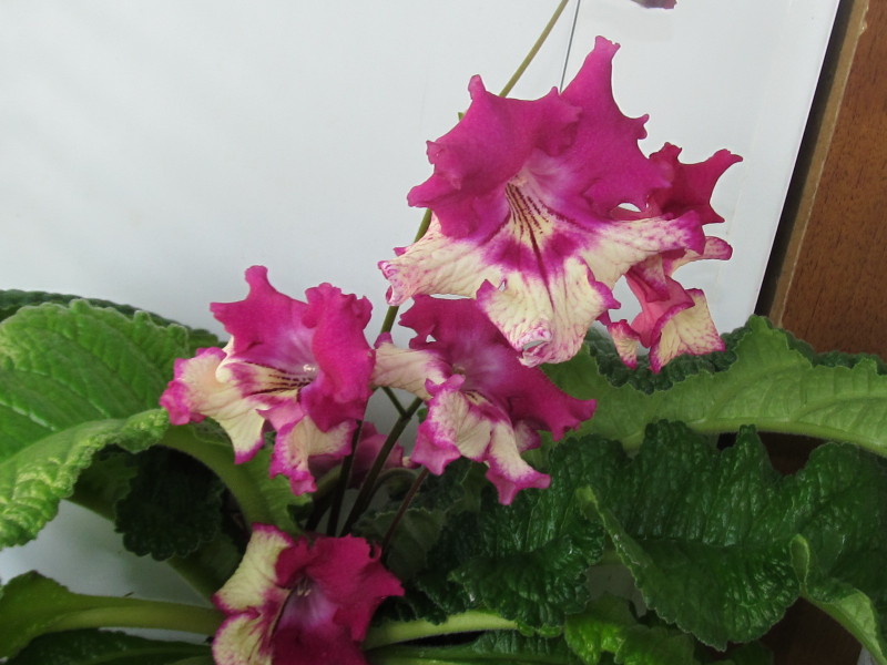 Изображение 074.jpg