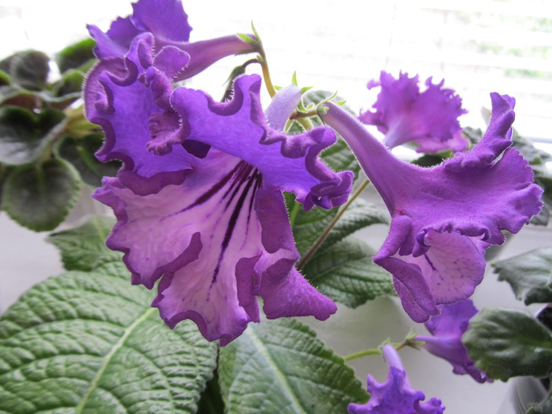 Изображение 090.jpg