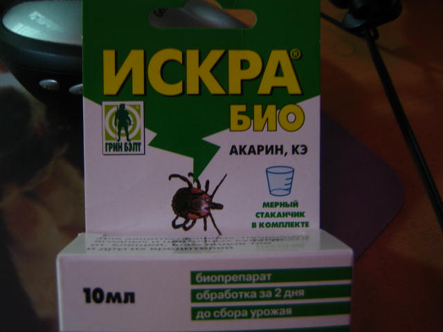 1201.jpg